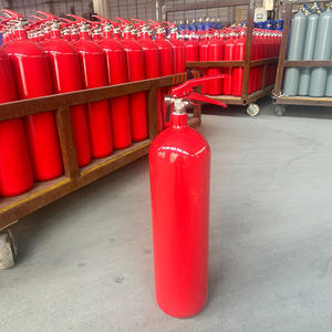 Estintore professionale in acciaio inossidabile per fornitura di rinfuse estintore <span class=keywords><strong>CO2</strong></span> piccolo estintore - Product Image 3