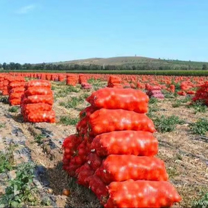 Chất lượng cao Rau Trái Cây Net túi khoai tây hành tây PP Net Túi Vẽ Dây củi Net/Net túi giá nhượng Bộ - Product Image 6