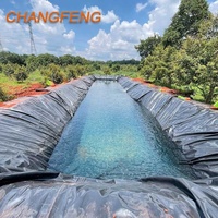 Geomembrana de PVC HDPE Ecológica para Estanques de Cría de Camarones en Agricultura, para Proyectos Agrícolas en Ecuador