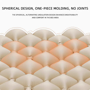 Colchón de Aire Alternante Antiescaras con <span class=keywords><strong>Compresor</strong></span> para Cama de Hospital y Cuidado en Residencias - Product Image 2