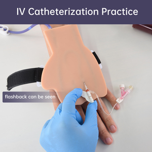Modèle d'entraînement à la phlébotomie et à la ponction veineuse, mannequin de main dorsale en PVC portable, kit de démarrage IV pour l'entraînement aux injections - Product Image 5