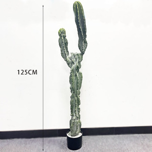 Plante de <span class=keywords><strong>cactus</strong></span> artificielle en plastique pour la décoration intérieure, <span class=keywords><strong>cactus</strong></span> pour l'aménagement paysager, ornement de jardin, plantes artificielles, décoration de plantes artificielles - Product Image 2