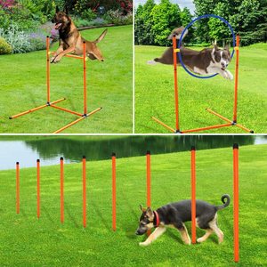 Équipements de parcours d'agilité <span class=keywords><strong>pour</strong></span> chiens, kit de démarrage d'entraînement d'agilité avec obstacles <span class=keywords><strong>pour</strong></span> <span class=keywords><strong>chien</strong></span>, <span class=keywords><strong>jeux</strong></span> de plein air <span class=keywords><strong>pour</strong></span> animaux de compagnie - Product Image 3