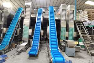 Máquina envasadora con transportador elevador <span class=keywords><strong>de</strong></span> cangilones tipo Z <span class=keywords><strong>de</strong></span> acero inoxidable 304 para pasta italiana <span class=keywords><strong>de</strong></span> macarrones, pa - Product Image 5