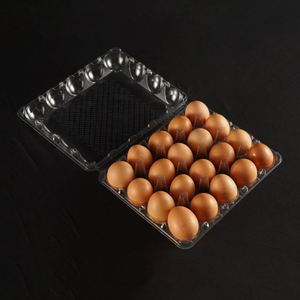 Cartón de Huevos de Plástico Transparente, Caja/Bandeja para Huevos de PET de 20 Celdas, Embalaje de Blíster Desechable para Uso en Supermercados y Fines Industriales - Product Image 2