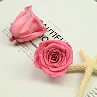 Grosir bunga mawar asli yang diawetkan kepala mawar indah kualitas tinggi bunga yang diawetkan untuk hadiah Valentine