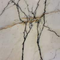 Dalle de marbre Calacatta Paonazzo italien naturel, poli, blanc jaune avec veines noires et dorées, pour comptoirs et revêtements de sol de luxe