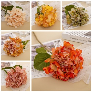 Fleurs et plantes décoratives en gros style INS pour mariage, hortensias séchés et brûlés, fleurs et plantes artificielles vertes MW24833 - Product Image 5