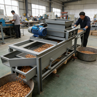 Machine à casser les noix automatique à prix d'usine, décortiqueuse d'amandes, pour la décorticage secondaire des amandes et des noix de pécan