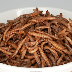 Direto-Preservado Da Fábrica Mealworms Amarelos, réptil nutritivo & alimento do pássaro, deleites de alta proteína - Product Image 2