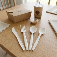 Ensemble de couverts jetables compostables CPLA de qualité alimentaire, personnalisables, série premium (cuillère, fourchette, couteau)