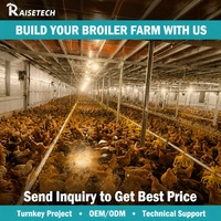 Système de ligne d'alimentation automatique pour volailles avec vis sans fin et mangeoires pour élevage commercial de poulets en poulailler