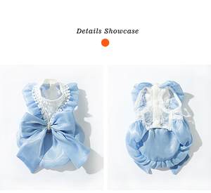 Venta al por mayor de fábrica OEM ODM: Ropa de falda de encaje con perlas y diamantes de imitación de alta calidad para gatos, ideal para boutiques de marcas de moda. - Product Image 6