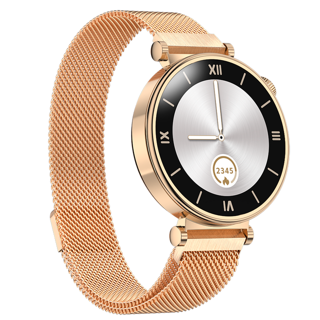 High End Fashion Round Shape Dial Smartwatch AM23 AMOLED 1.32inch Amoled Rose Gold IML Material Steel Strap Lady Smart Watch