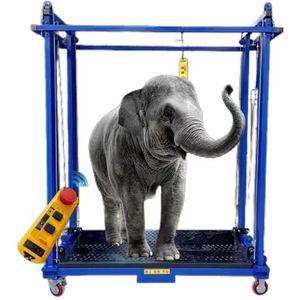 Andamio Eléctrico <span class=keywords><strong>de</strong></span> 6 Metros en Alquiler, Ajustable para Construcción <span class=keywords><strong>de</strong></span> Edificios, Plataforma Elevadora Eléctrica <span class=keywords><strong>de</strong></span> Aleación <span class=keywords><strong>de</strong></span> Aluminio - Product Image 5