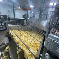 Máquina Freidora de Papas Fritas Onduladas de Alta Gama Estándar Europeo, Línea de Producción para Capacidad de 50 kg/100 kg/200 kg/300 kg/500 kg/800 kg