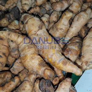 Secador de Malla Continua de Alto Rendimiento para Jengibre y Vegetales, Línea de Producción de Jengibre en Polvo - Product Image 5