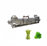 Automatische temperatuurregeling fruit- en groenteverblanckingsmachine sterilisatie kleurbescherming bleek- en strijkmachine