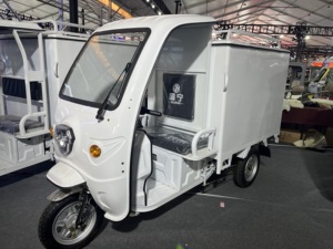 QFB150M Kendaraan Roda Tiga Listrik Kapasitas 600KG, Becak Listrik 3 Roda Tertutup Armenia, Pengangkut Listrik 600KG - Product Image 5