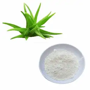 Pure Nature Aloe Vera Freeze-Dried Powder 100:1 Cosmetic Raw Material Aloe Extract Powder