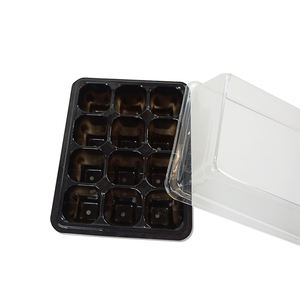 Plateau de semis en plastique pour pépinière, micro-vert, favorise la croissance des plantes - Product Image 3