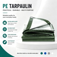 Bâche de camping imperméable en PE pour tente, protection au sol, abri contre la pluie, randonnée, pique-nique et voyages en plein air