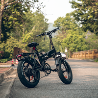 Fabricant chinois X7 750W Vélo électrique à moteur Fatbike 25 °   Moteur de vélo électrique cargo Gradeability 48V 15Ah pour adultes