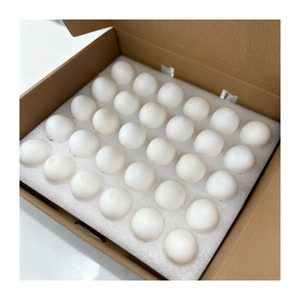 Trứng SPF nguyên chất chất lượng cao dùng trong phòng thí nghiệm có nguồn gốc từ gà sinh sản 36,000 và sông Charles - Product Image 4