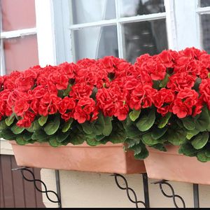 Fleurs artificielles en soie de géranium rouge résistant aux UV extérieur plantes de <span class=keywords><strong>jardin</strong></span> Bush fausses fleurs <span class=keywords><strong>pour</strong></span> mariage à la maison - Product Image 4