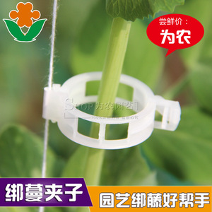 Clips de soutien pour vignes en plastique noir <span class=keywords><strong>HOJI</strong></span>, taille 1/4 pouce, pour suspendre les semis et les branches, accessoires de jardinage - Product Image 5
