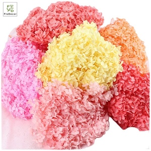 High End 50 cm naturale reale conservato fresco Anna essiccato fiore di ortensia per la decorazione di nozze fai da te puntelli fotografici - Product Image 3