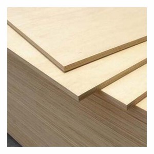 Panneau de contreplaqué multicouche en eucalyptus E0 18 mm écologique, design moderne pour meubles de salon et de chambre - Product Image 6