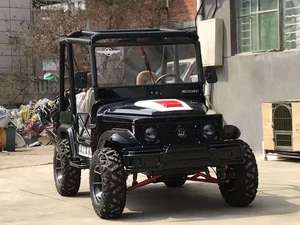 Buggy Clásico Popular de 350cc, Go Karts con Motores Eléctricos de 250cc, Mini Jeep Automático de 2 Plazas en Venta - Product Image 5