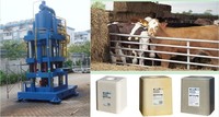Presse hydraulique à quatre colonnes et trois poutres YST800, système servo 35,6 kW, 16 tonnes, 380V, Chine (JIA), composants hydrauliques JIUYAJIU Animal