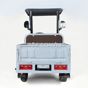 Carrito de Golf Eléctrico de Alta Calidad con 2+2 Asientos, Color Personalizado, Batería de 60V, para Uso en Parques Turísticos - Product Image 2