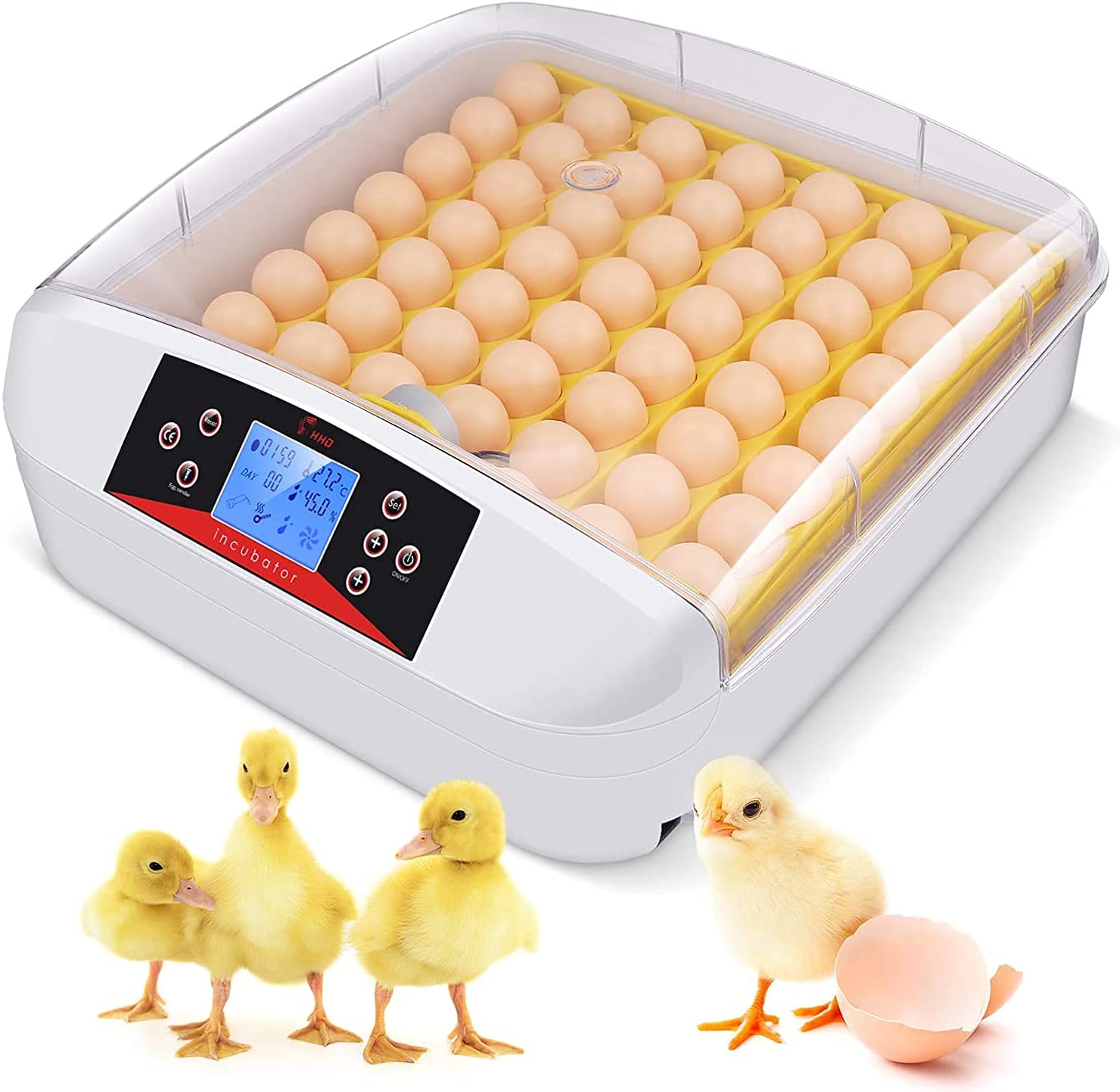 Инкубатор hhd 12 мини с овоскопом. Продам инкубатор для яиц. Инкубатор 12 egg incubator. Инкубатор китайский автоматический на 48 яиц. Инкубатор для яиц hhd.
