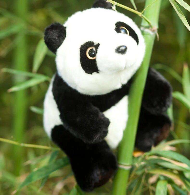 Animal Custom Plush Stuffed Pandas Bear Educational Toys for Kids Gift Giant Soft Doll Plush Panda Toy for Children