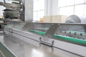 Machine de fabrication de bonbons gélifiés de haute qualité pour <span class=keywords><strong>cheveux</strong></span> et ongles, saveur fruits mélangés, acidulé et sucré, ensemble complet de machines de production de bonbons - Product Image 5