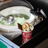 Nouvelle machine à glace et sorbet de comptoir Miles, 6L, pour fruits, lait, yaourt, sorbet, usage commercial, eau, légumes, 304