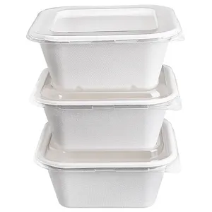 Dùng Một Lần Phân Hủy Sinh Học Côn Mía Bagasse Takeaway Burger Hộp Để Đi Thức Ăn Nhanh Bao Bì Ăn Trưa Container