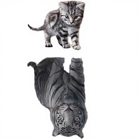 Impression sur toile encadrée « Art de la Réflexion Animale » : Tigre, Eau et Huile – Décoration murale surréaliste écologique, style galerie, pièce d'accentuation unique pour la maison