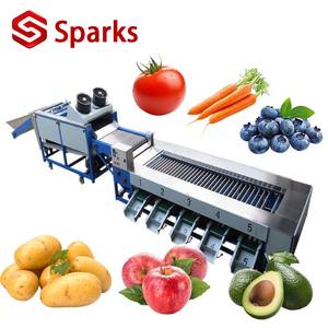 Yüksek Hızlı Otomatik Domates Ayırma Sınıflandırma Makinesi |   Çok Yönlü Meyve ve Sebze Ağırlık Derecelendirme Ekipmanı - Product Image 1