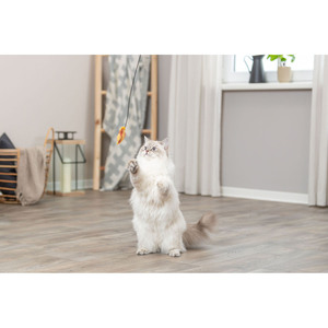 Baguette de jeu pour poissons, jouet interactif de 46 cm pour chats, jouet pour animaux de compagnie - Product Image 4