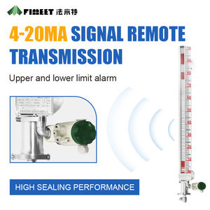 सटीक साइड-माउंट माप के लिए टिकाऊ चुंबकीय स्तर गेज - Product Image 5