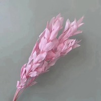 AX-88 Groothandel Natuurlijke Gedroogde Bloemen Eeuwig Houdbare Oranje Bladeren 40-60cm voor Wanddecoratie Kerst & Thanksgiving Decoratie