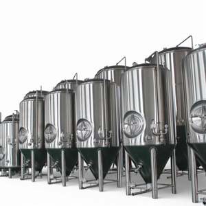 Mejor Precio: Fermentadores de Kombucha y Cerveza Unitank de 10Bbl, 20Bbl, 30Bbl, 40Bbl, 50Bbl, 60Bbl, 70Bbl, 8000L, 100Bbl, 200Bbl en Venta - Product Image 4