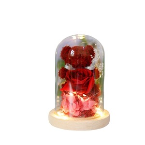 TC Hot <strong>Sale</strong> Eternal <strong>Rose</strong> Flower in LED Glass Dome Valentine Mother's Day New Design Gift Preserved <strong>Moss</strong> Bear <strong>Rose</strong> Bouquet Gift - Product Image 6