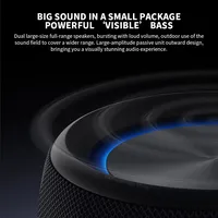 Mini Enceinte Portable V5.0 avec Double Radiateur Passif Plein Spectre, Sortie 5W, NFC 5.3, Batterie Rechargeable 2000mAh, Chargement Type-C, Pour la Maison