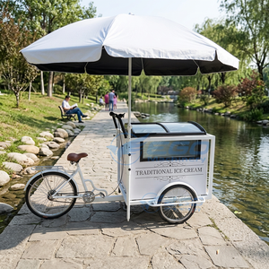 Classic Design Electric Stainless Steel Flower Display <b>Bicycle</b> Street Mobile Ice Cream Snack Food Carts <b>for</b> <b>Sale</b> - Product Image 1