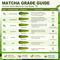 Poudre de Matcha Biologique BSTBIO Marque Blanche Qualité Cérémoniale Premium 1A - 6A 30g/Pot